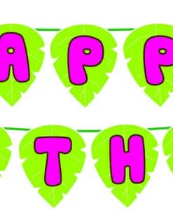 day-hpbd-khi-xanh-hong shopphukiensinhnhat.com