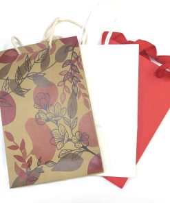 TÚI GIẤY KRAFT TRƠN MÀU TRẮNG ĐỰNG QUÀ TẶNG